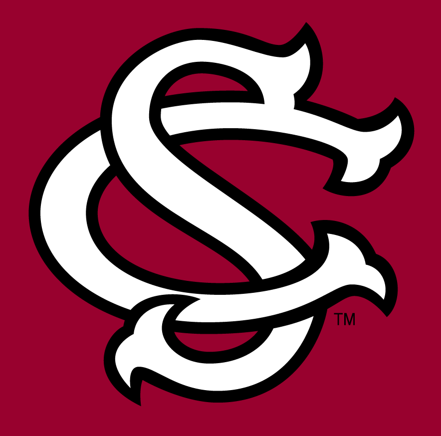South Carolina Gamecocks 1993-Pres Alternate Logo v3 diy iron on heat transfer